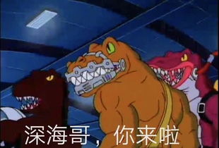 老年人表情包杰尼龟