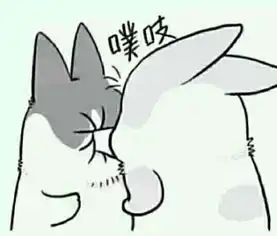 这只兔子叫什么萌哭了求表情包嘤嘤嘤 这只兔子叫什么萌哭了求表情包嘤嘤嘤