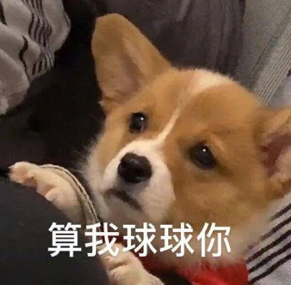  超级开胃这4家凉皮和肉夹馍,地道的陕西味