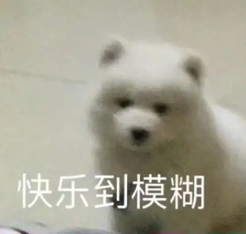  沙雕表情包做沙雕人