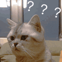 斗图表情包gif图合集网恋吗 斗图表情包gif图合集网恋吗