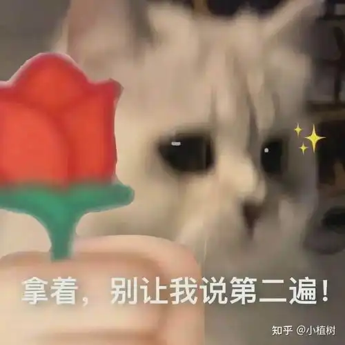 excel动态考勤表内容如何随月份改变 excel动态考勤表内容如何随月份改变