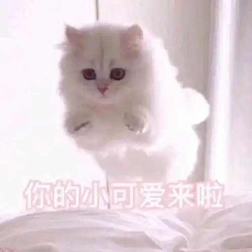  有哪些适合在撒娇时使用的表情包