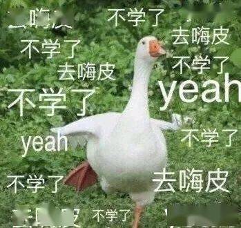  最近的gre考试怎么肥事330考爆了,暴力提高22分
