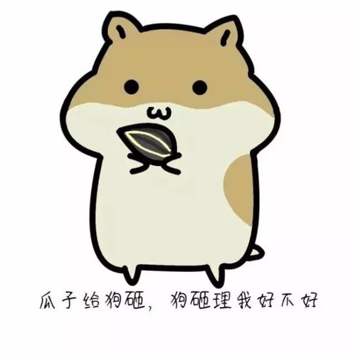  贡献一份超级可爱的表情包