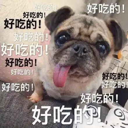  心机汪狗狗表情包