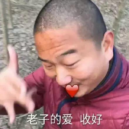  老子的爱请收好表情包大全