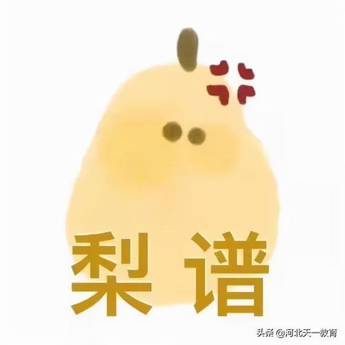  那些停招的专业现在都怎么样了
