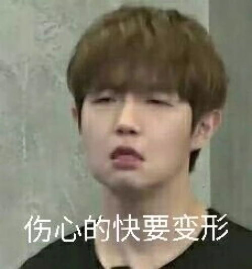 真是的表情包忘了他