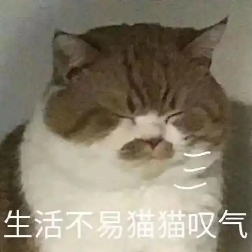  关于生活的表情包合集受够了生活的苦