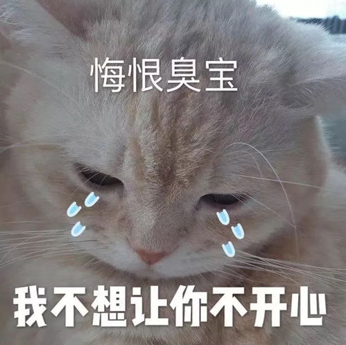  吵架以后给对方台阶下的表情包