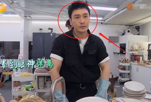 黄晓明变中餐厅刷碗工,精神恍惚累出表情包,既心疼又好笑