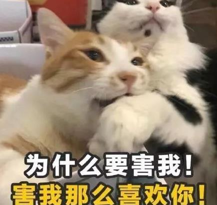  孙一宁一战成名,粉丝翻三倍突破200万,王思聪叹息好气