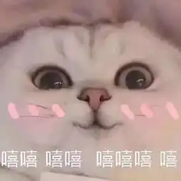  院庆晚会节目招募