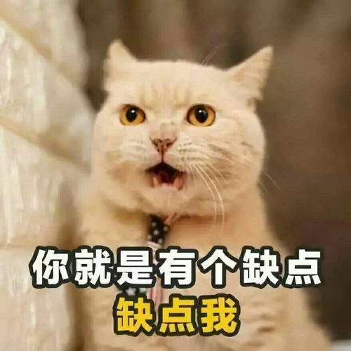  关于他