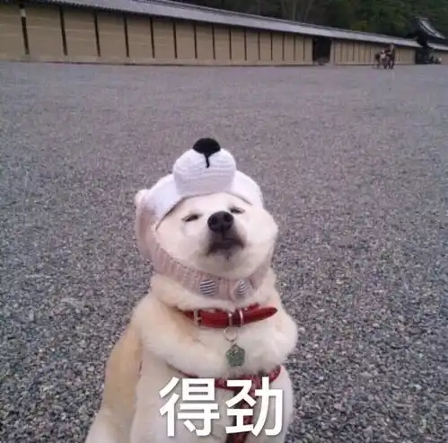  最强防骗攻略你确定不来看看吗