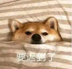 柴犬带字表情包柴犬