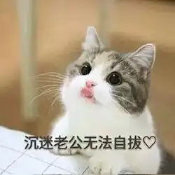  求这个猫表情包的原图