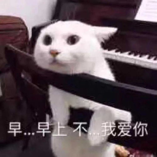  新鲜沙雕表情包