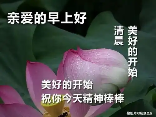 6月28日很好看早上好表情包图片动态,大家早上好动画图片大全 6月28日很好看早上好表情包图片动态,大家早上好动画图片大全