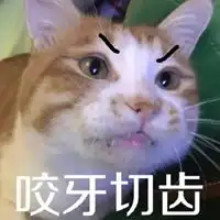 猫猫记仇表情包