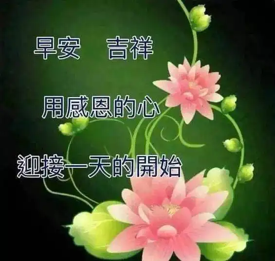  新版下雪了早上好动态表情图片,天冷早晨祝福语图片表情大全
