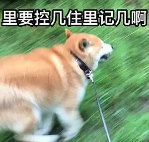  出游荐好车大好春光,你确定不来一场自驾游