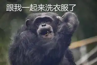  无师自通黑猩猩为饲养员洗衣服,动作娴熟网友纷纷自家老公