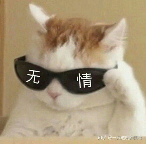 水贴图片表情包蛇精
