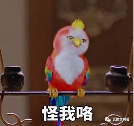 影视剧中主角只能是人物这些家伙比主角更耀眼