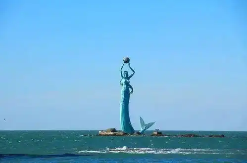  因疫情出圈的鲅鱼圈究竟是个什么圈鲅鱼又是什么鱼好吃吗