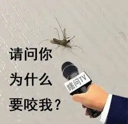 钱包空的表情包采访