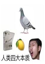  本质