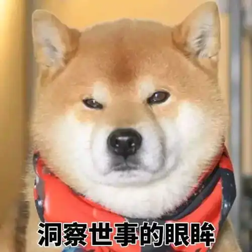  当年的北电三朵花之一,如今当了影视圈女大佬反而不吃香咯