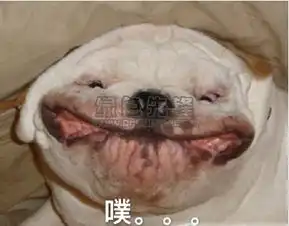  狗狗强颜欢笑qq表情包强颜欢笑表情包无水印版软件下载