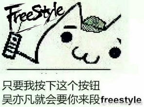  freestyle什么意思趣味表情包