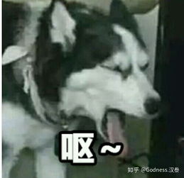  有哪些很皮的呕吐状的表情包