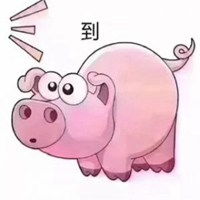  抖音猪在猪圈表情包微信头像图片大全