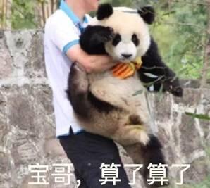  大哥算了算了搞笑表情包,你更喜欢用哪一个每一个都很有趣
