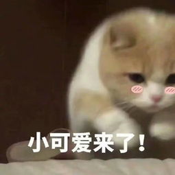  十条笑话小明,哪件事让你对自己的无知感到震惊