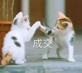  一只口红的价格就能购入五只最火色号,不是划算是超值好嘛