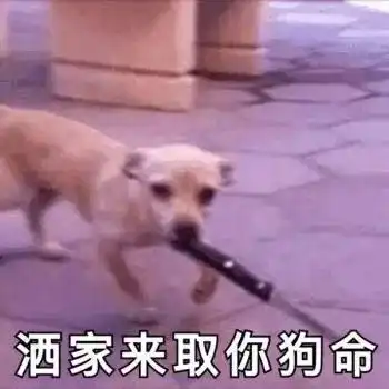 每日欢乐那些傻不拉几的的表情包