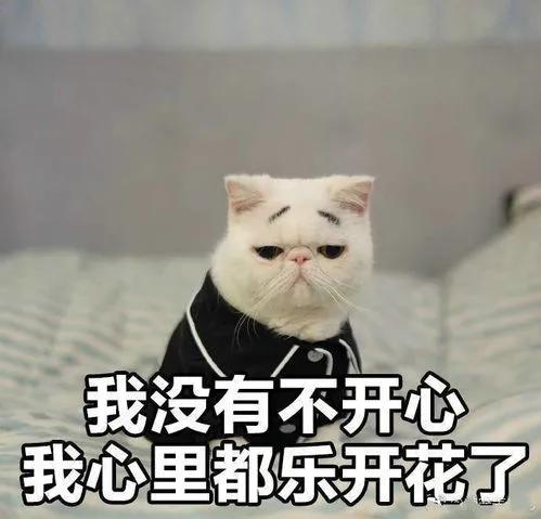  学考取消文理,历史生更易被录取物理生好慌...