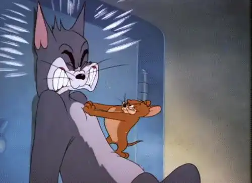  猫和老鼠为什么那么耐看