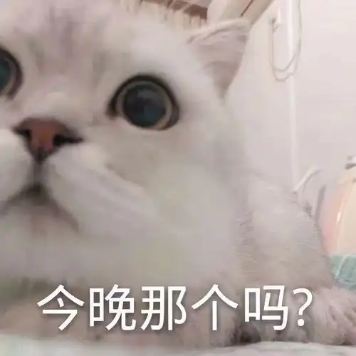  收藏夹
