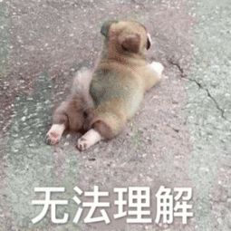  5个月宝宝肾里长满结石辅食添加,一定要知道这4件事