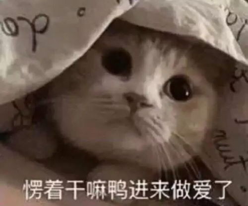 对不起鸭的表情包道歉