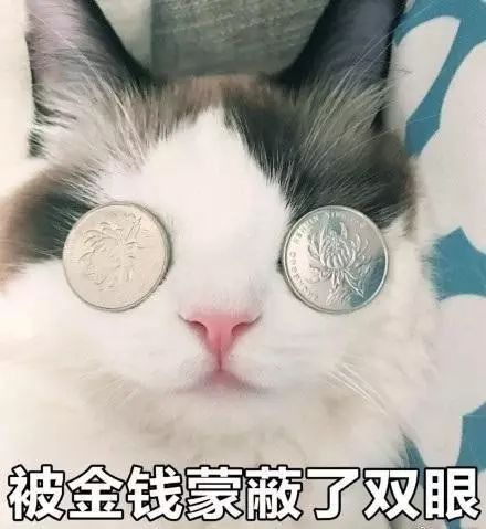  苏州人,听说你不想上班