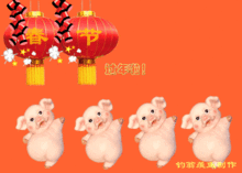 2019猪年春节祝福问候表情图片最新最全,快收好