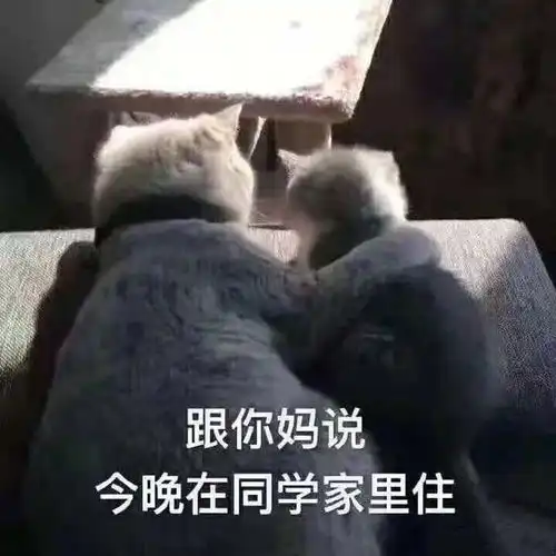 搞笑辟邪图片表情包沙雕